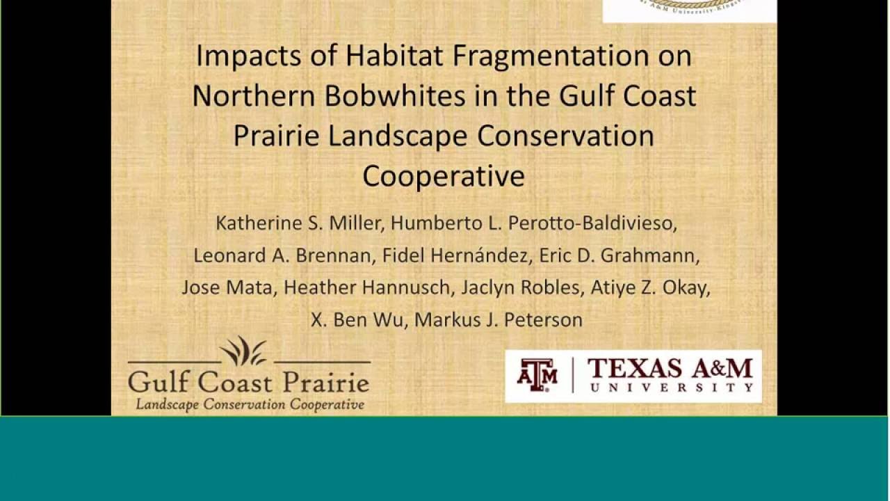 GCP LCC Webinar: Impacts of Habitat Fragmentation on Northern Bobwhites in the GCP LCC - 9/7/16