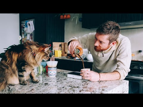 Video: Can vegans haus kopi luwak?