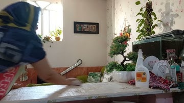 How to remove stains from laminate countertops | CLEAN WITH ME