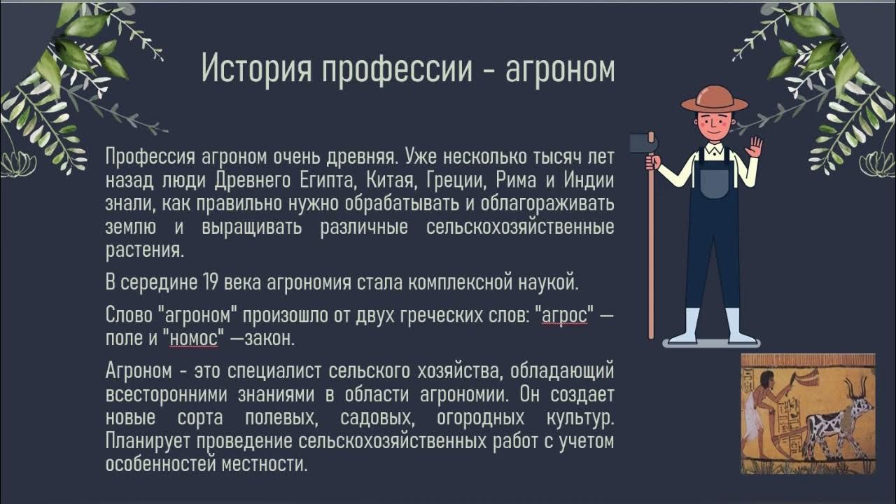 Дети о сельском хозяйстве Интерактивный портал Службы занятости населения Владим
