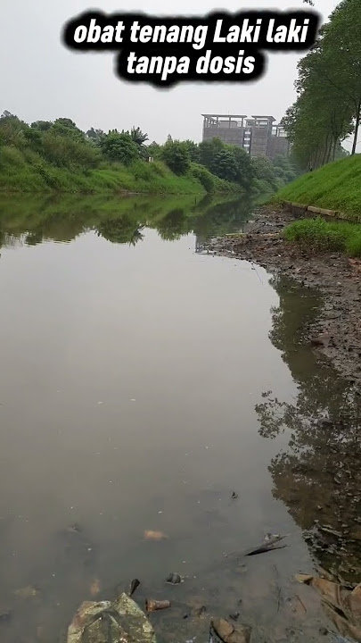 mancing itu bukan cuma tentang menang,tp juga tentang senang.#shortvideo #short #mancingmania