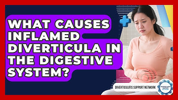 What Causes Inflamed Diverticula in the Digestive System? | Diverticulitis Support Network News