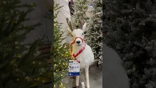 The King Of Reindeer For Your Stunning Yard this Christmas 🦌 #christmas #cristmasdecor