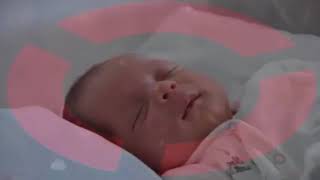🌟🌝 اغاني اولاد صغار 🌛🌛 اغنيه لنوم الاطفال 🌛🌛 تحميل اغانى اطفال مصرية