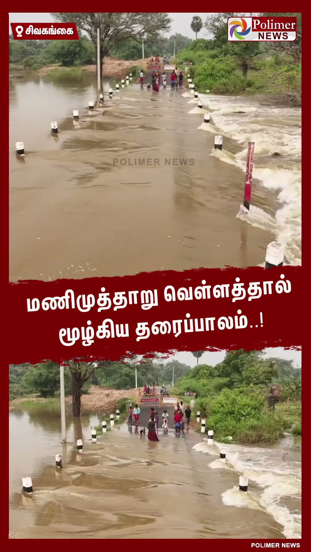 மணிமுத்தாறு வெள்ளத்தால் மூழ்கிய தரைப்பாலம்..!  #shorts