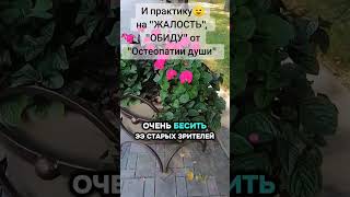 #путьксчастью