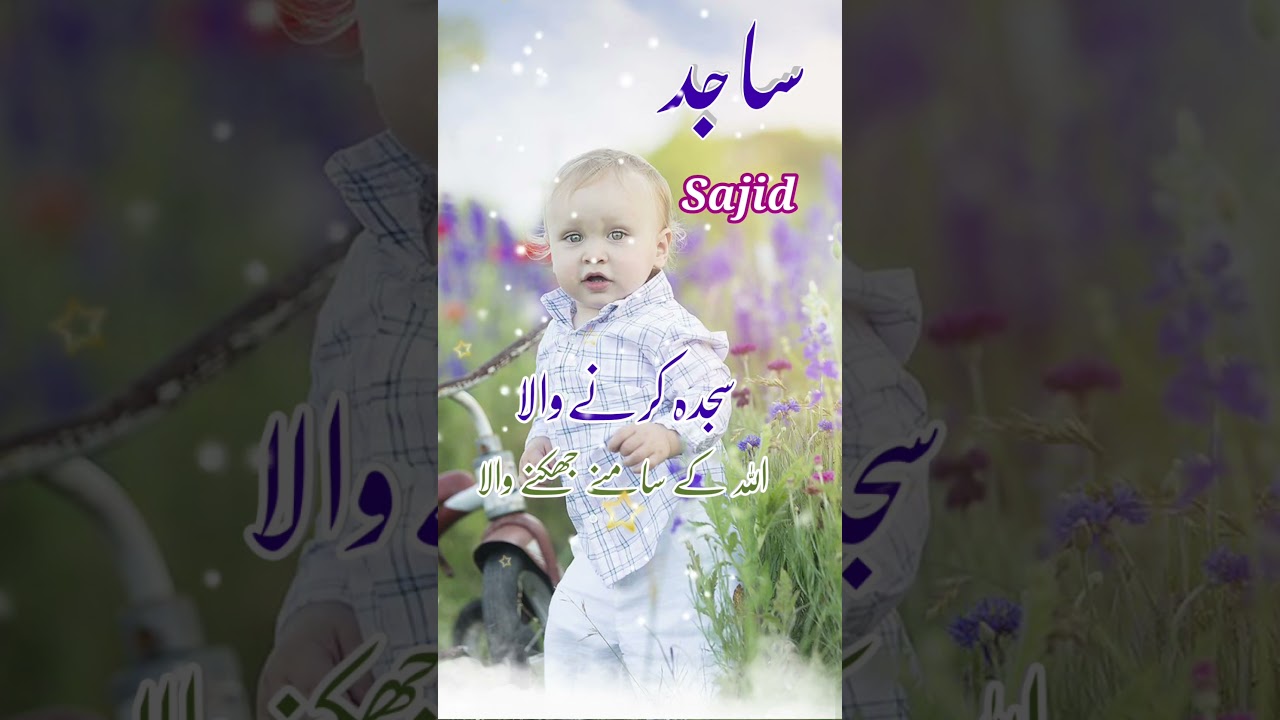 Sajid(ساجد) Islamic Baby Boys Name With Meaning In Urdu Hindi #ytshorts #shorts #boysname