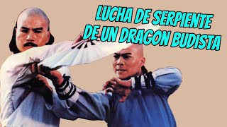 Wu Tang Collection - Lucha de Serpiente de un Dragon Budista  (Snake Fist of A Buddhist Dragon)