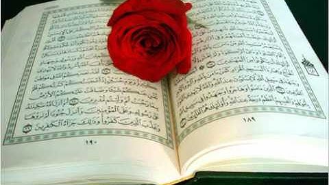 الصفحة رقم 594 القران الكريم