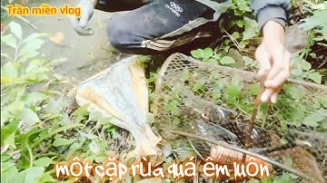 #411 thăm Lờ cá lóc ở Sóc Trăng đi chung với em mãi trúng đậm cá Lóc khủng rùa quá êm