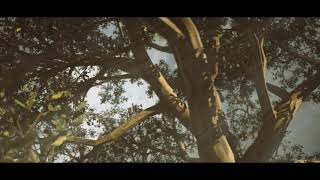 After Effects Element 3D - Cinematic Growing Leaves Effect