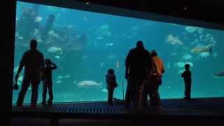 New Bern KOA Local Attractions