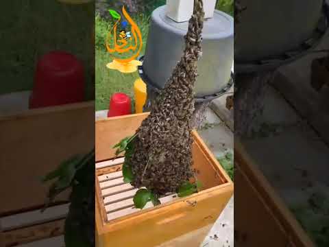 طرد ما شاء الله اكسبلور خيركم من تعلم