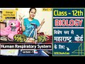 Human Respiratory System | Part - 1 | Biology | Respiration in Human | Important for Basic | NEET