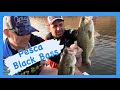 Pesca de Black bass  en La Breña II, con la tienda Limit Bass