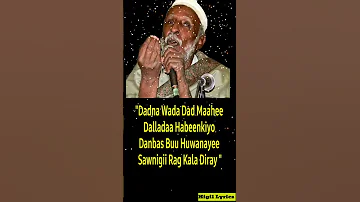 Dadna Wada Dad Maahee Dalladaa Habeenkiyo Danbas Buu Abwaan Hadraawi Shorts Youtubeshorts 