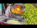 How 70 years old man cooking corn in sand  corn harvesting at mass production factory  pakistan