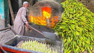 How 70 Years Old Man Cooking CORN In Sand | CORN HARVESTING At Mass Production Factory | Pakistan
