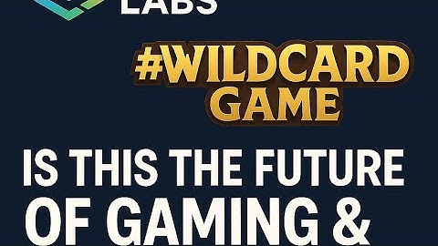 Is This the Future of Web3 Gaming? Polymer Labs x Wildcard Game Explained