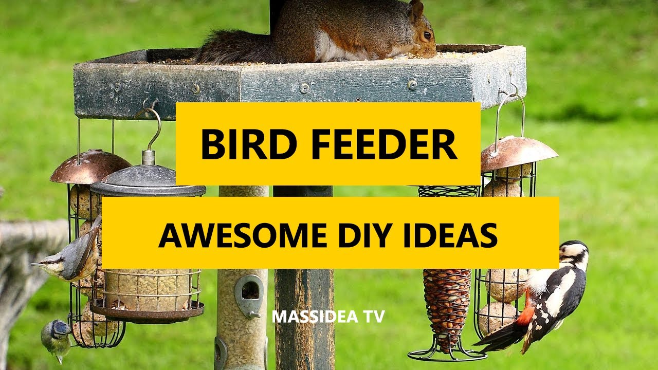 45 Awesome Bird Feeder Diy Ideas In The Worlds 2017 Youtube