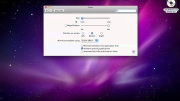 Snow Leopard Expose and Spaces