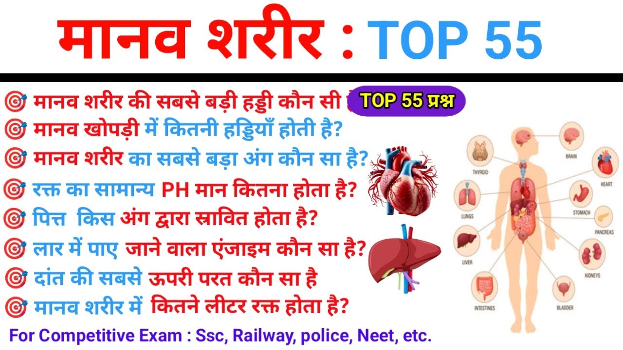 Human Body Top 55 Gk Questions Answers | मानव शरीर के टॉप 55 अति महत्वपूर्ण प्रश्न | Biology Gk 