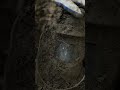 Lantern found by metal detector #reels #treasure #shorts