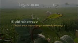 Story wa 30 detik || pemanandang sawah || pemandangan alam yang indah || story alam di pagi hari.