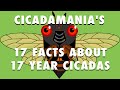 17 Facts About 17 Year Cicadas. (to go faster choose 2X)