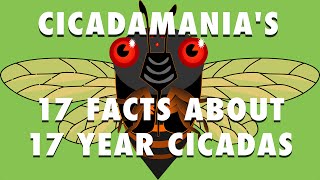 17 Facts About 17 Year Cicadas. (to go faster choose 2X)