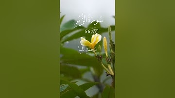 الآية  53 من سورة الزمر القارئ اسلام صبحي