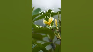 الآية  53 من سورة الزمر القارئ اسلام صبحي