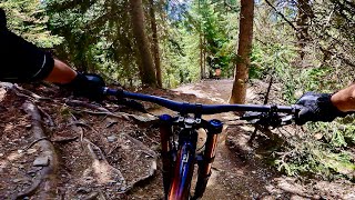 Palm Pro Line + Hammer jumpline 2022 | bike park Brixen | MTB downhill Plose