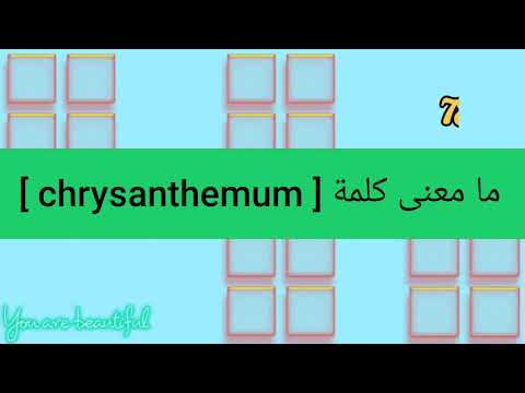 ما معنى كلمة 