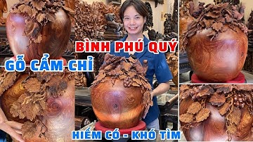 Hiếm có khó tìm Bình hút tài lộc đục Nho Sóc gỗ Cẩm Chỉ cao cấp
