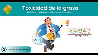 Obesidad, una de las principales Causas de Resistencia a la Insulina | Lipotoxicidad