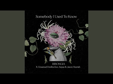 Somebody That I Used To Know (feat. Emmanuel Desroches, Sayaa, Jason Heerah)