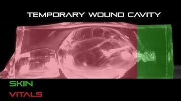 5.56 55gr TUI® VS. Ballistics Gel | Fort Scott Munitions®