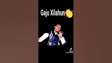 Gajo Tilahun New Oromo Music 