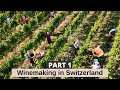 Part 1: Winemaking in Switzerland.