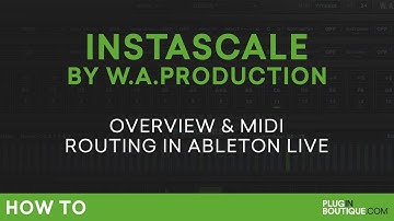 W.A. Production InstaScale First Look | MIDI Routing in Ableton Live Tutorial