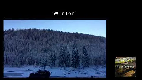 Winter by Erich Tiefenthaler