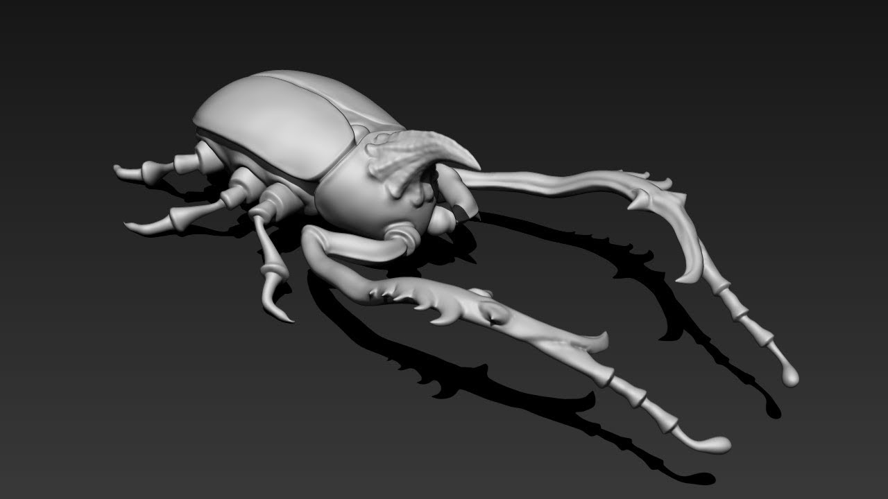 how to model a a bug in zbrush