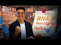 شرح الهندسة الوراثية والـ  المهجن أحياء ثالثة ثانوي 2026 أ إسحق ذكري
