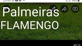 Palmeiras  e  Flamengo - 2084