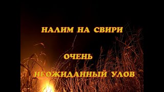 видео: ЗА НАЛИМОМ НА СВИРЬ. ВОТ ЭТО НЕЖДАНЧИК!!!! картинка: ЗА НАЛИМОМ НА СВИРЬ. ВОТ ЭТО НЕЖДАНЧИК!!!!