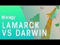 Theories of evolution lamarck vs darwin  evolution  biology  fuseschool