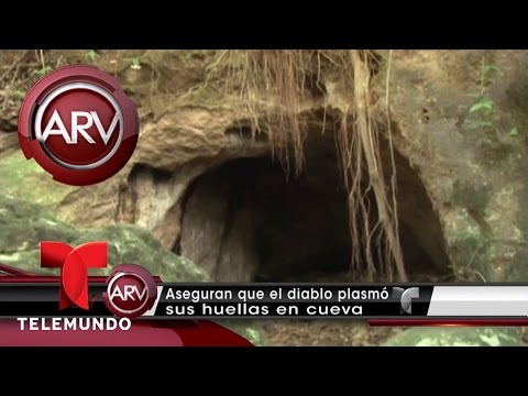 Aseguran ver huellas