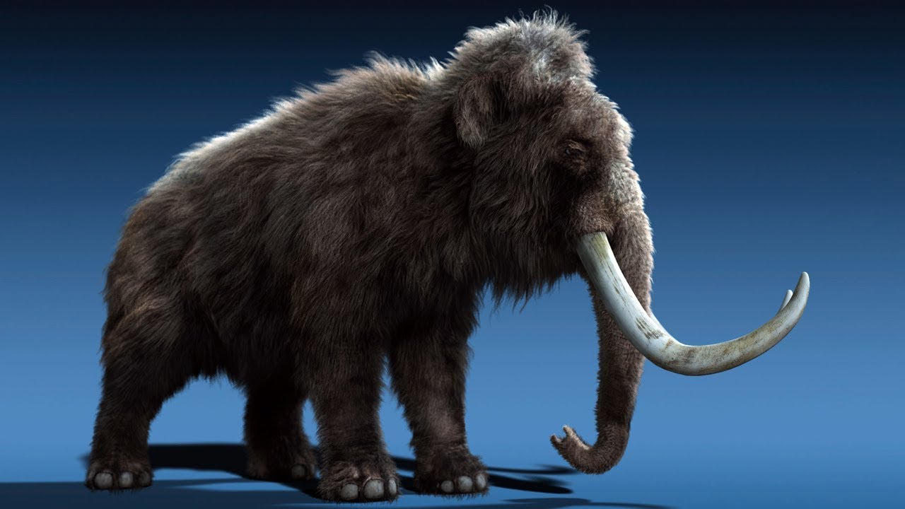 LAMH2Iray Catalyzer introduction