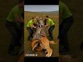 rescue lion from giant log #animals #funny #shorts